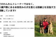 【悲報】犬のしつけ士「見習い募集します！対象は18歳～27歳の女性のみです！」