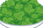 三大絶対痩せ我慢して食ってる食材「パクチー」「牡蠣」