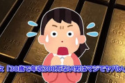 29歳で年収300万円もないんだが