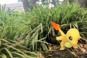 【ポケモンGO】再ログイン後の捕獲「ARで捕獲しますか→いいえ→ARモード発動します！」