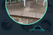 【ポケモンGO】見つけたらダッシュ案件なのか？相当なレアキャラだったりする？