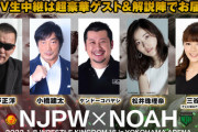 【悲報】松井珠理奈さん、「新日本vs NOAH対抗戦」のゲスト解説で案の定ボロカス