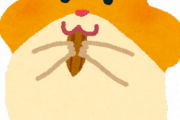 【超困惑】ハムスターくん「ｼﾞｯ!ｼﾞｯ!」わい「なんやこいつ！？」