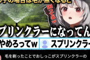 【画像】美少女Vtuber「女の子は下の毛剃るとスプリンクラーみたいに出る」 これマジ？？