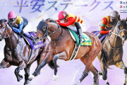 第30回 平安ステークス (GⅢ)　