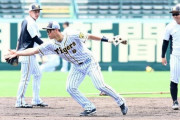 阪神・佐藤輝　ノックで軽快な動き　フリー打撃は軽めスイングで柵越え