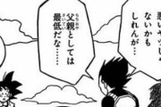 ベジータ「カカロット、お前は父親としては最低だな…」