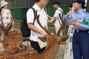 【奈良のシカ】斧で頭を叩かれ死亡などボコボコにされていることが判明　警察DJは「日本語・英語・中国語のみ」※各所に韓国語案内があるのに韓国語での警告はせず