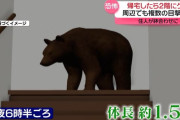 【悲報】80代男性、帰宅したら2階にクマ