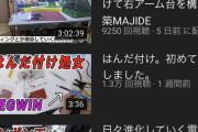【悲報】　元祖YouTuber、メグウィンさんの現状・・・