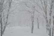 【悲報】関西、また雪が積もりそう