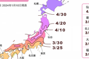 海外「今年の日本の桜開花予想が発表されたぞ！」2024年の桜開花予想に対する海外の反応