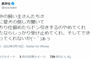武井壮「散歩中の犬を倒したら飼い主にドン引きされた」