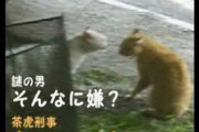 【ねこ動画】酔っ払いと警官のやり取り（日本語）、テレビ VS. 猫だくさん、窓掃除の股間に・・・ ほか