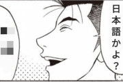 【悲報】韓国で「日本語勉強してる」と言うとこう返されるらしい・・・いや、確かにそうだけれども・・・
