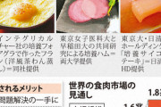 【朗報】代替肉、ガチで流行る　お前ら食べたことあるか？