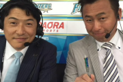 日ハムの現役で1番解説が上手そうな選手って誰？？？