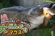 【必要不可欠】ナマズ釣り必需品！大どんぐりマウス鯰SPの威力とは？