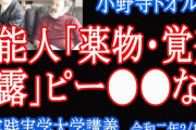 【アベガー】槇原敬之の薬物逮捕、山口二郎｢政府批判の矛先をそらすため｣　