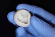 3Dバイオプリンターで心臓の一部分を生成することに成功、将来的には心臓全体も生成…米研究チーム！