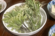 山菜の天ぷら揚げたけど見る？