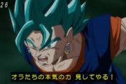 【徹底討論】スーパーサイヤ人4とブルー強さ議論