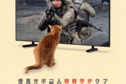 通販生活「ウクライナは猫のケンカ見習って停戦して」、無事国際問題になる