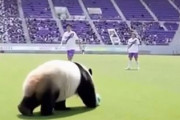 中国人「中国でサッカー日本代表のユニフォームを着てたら殴られる？」　中国人「文明社会では絶対にない」「学校で着たけど問題なし！」