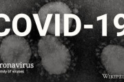 海外「新型コロナウイルス対策に一般人ができるのは体の管理だけ？？」→とりあえずワクチンができたら教えてくれ・・・