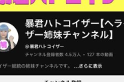 【悲報】米山隆一氏から対処予告されたネトウヨ向けYouTubeチャンネル、動画非公開にしてとんずらwwwwwwwwwwww