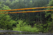 【速報】山梨・道志村、次々と見つかる