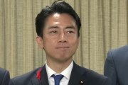 小泉進次郎の自演の件で分かったが、無能な味方ってほんと有害なんやな