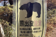 【朗報】岩手県、ついにクマ対策に本気を出すｗｗｗｗ