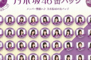 【乃木坂46】ユナイテッド・シネマでクレーンゲーム／ガチャガチャ絶賛発売中！場所が限定的すぎｗ