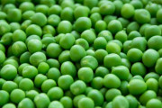 グリンピースとかいう絶滅しても誰も困らない豆