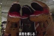 鳥取県、ティラノサウルスの着ぐるみ全力ダッシュ企画がウケたので今度は着ぐるみで博物館のティラノサウルス展鑑賞を実施