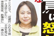 【悲報】無免許運転で事故った木下富美子都議、深く悩んだ末、議員続行を表明