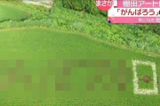 田んぼアートで「がんばろう日本」を描く→痛恨の誤字を誰も気づかないまま完成したものがこちらｗｗｗｗｗ