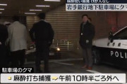 【朗報】岩手銀行本店の地下駐車場に立てこもったクマ、動物園の獣医さんに吹き矢で麻酔打たれ無事捕獲
