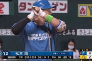 【朗報】日ハム・松本剛、全く打率が落ちない