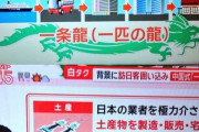 【朗報】春節の訪日中国人、55%減ｗｗｗｗｗｗｗｗｗｗｗ