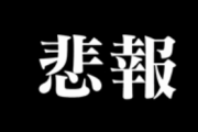 【悲報】アイリスオーヤマさん、もうダメそう…