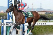 【競馬/平安S】ダート無敗の6歳馬アウォー爺さん、寝違えて捻挫し回避www