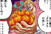 ワンピースで一番弱い悪魔の実といえばコレｗｗｗｗｗｗｗｗｗｗｗ