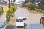 【動画】日産セレナ、水溜りで死亡