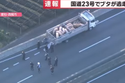 【速報】国道23号でブタ10頭以上が逃走　国道を通行止めにして警察などが捕獲作業中　愛知県西尾市