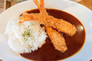 カレー屋を開こうと思う　どうすれば大手に勝てるか教えろ