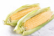 トウモロコシ「調理法、用途が広い。光合成の効率が良い。栄養価が高い」←こいつが天下とれない理由