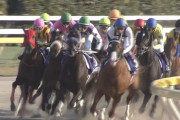 【競馬】武豊の四角持ったまま上がっていくのかっこ良すぎ