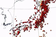 もし南海トラフ地震が起きたとして・・・